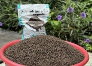 Phân Yến Organic Minh Sáng
