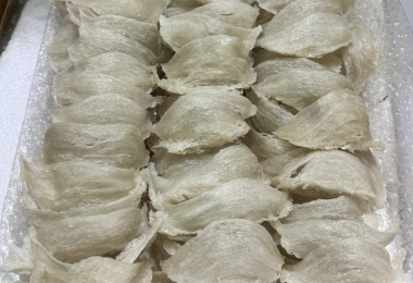 Yến Sào Cần Giờ Nguồn Gốc Và Giá Trị Dinh Dưỡng