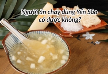 NGƯỜI ĂN CHAY CÓ DÙNG ĐƯỢC YẾN SÀO HAY KHÔNG ?