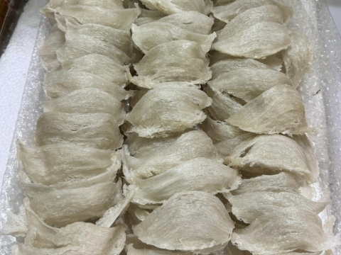 Sản Phẩm Yến Sào Minh Sáng
