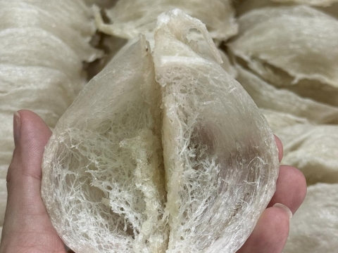 Sản Phẩm Yến Sào Minh Sáng