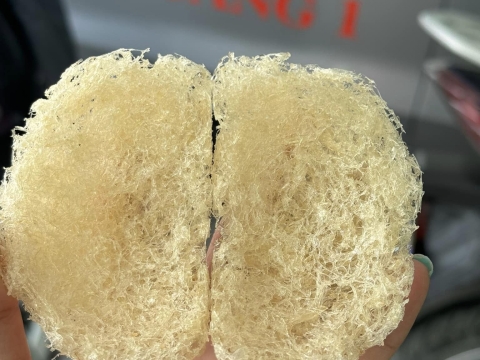 Sản Phẩm Yến Sào Minh Sáng