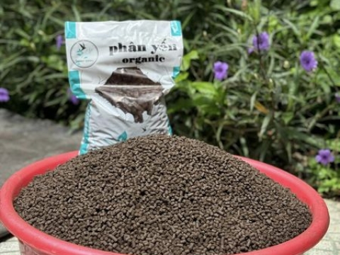 Phân Yến Organic Minh Sáng