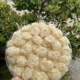 Yến vụn baby - 100gr