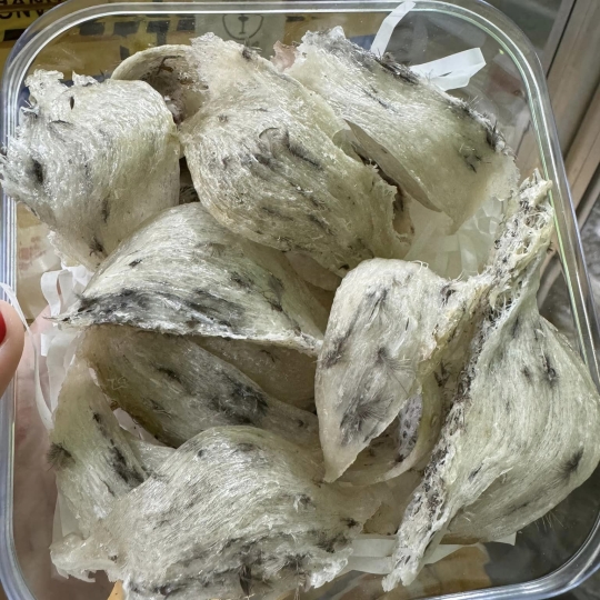 Yến thô tai ab - 100gr