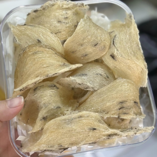 Yến thô già ít lông - 100gr